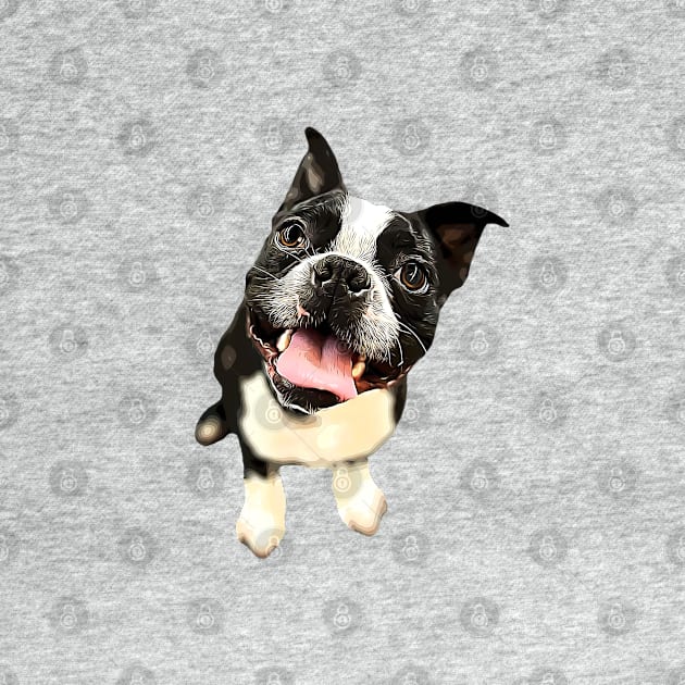 Boston Terrier Cute Dog by ElegantCat